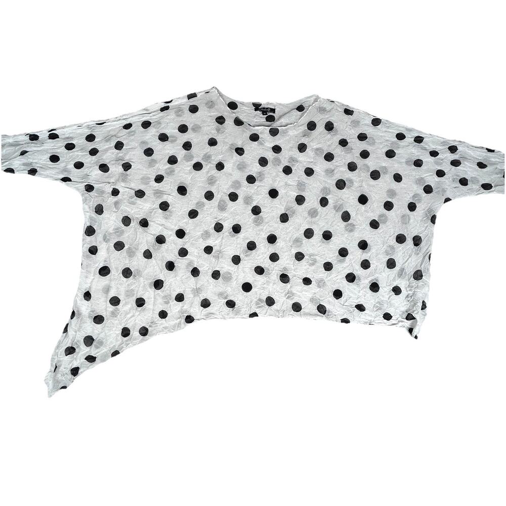 Charlie B Asymmetrical polk-a-dot polyester semi-sheer mesh pull on Womens L top